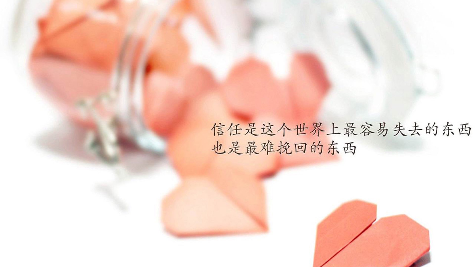 女足世界杯中国队备战动态，女足世界杯2021中国队