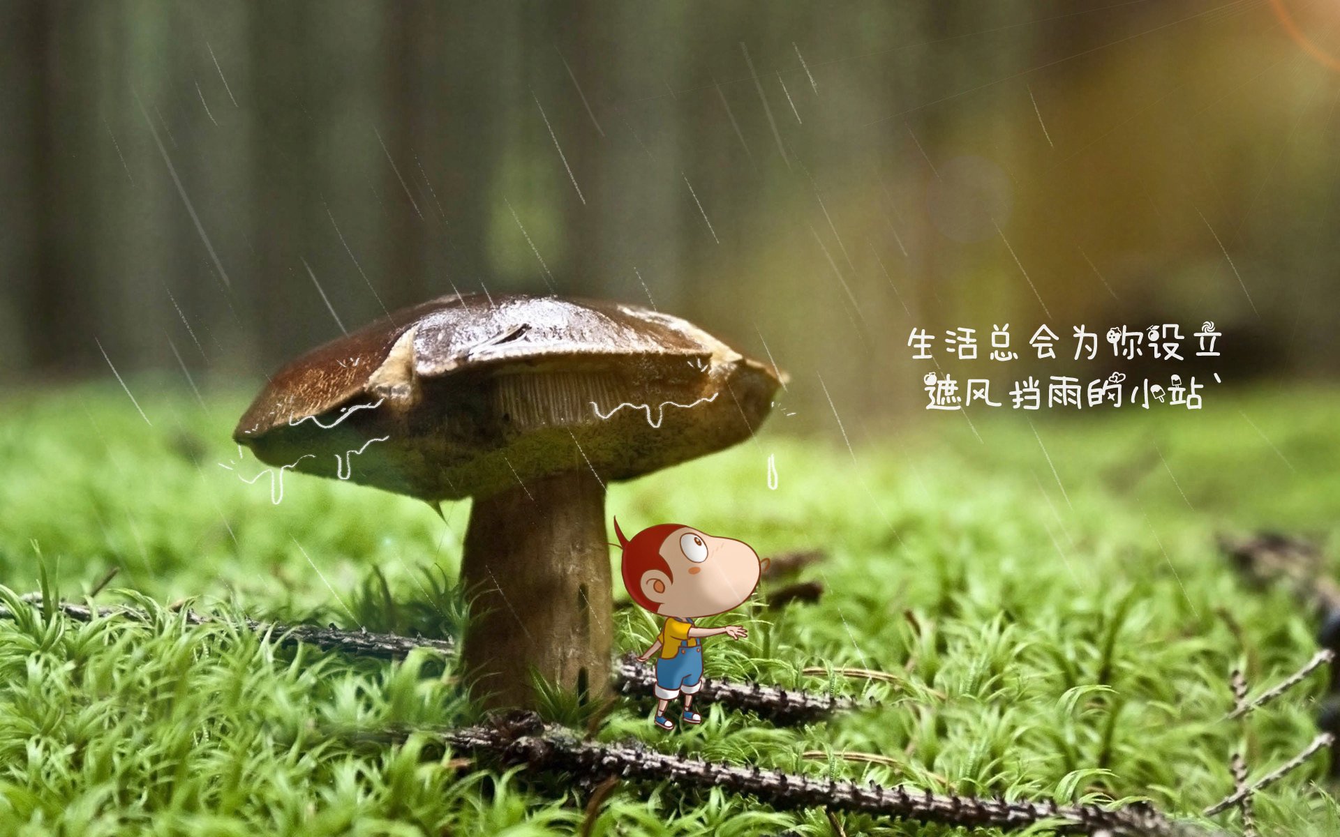 中国足球赛季热区变化与战术演进对照图，中国足球热身赛直播