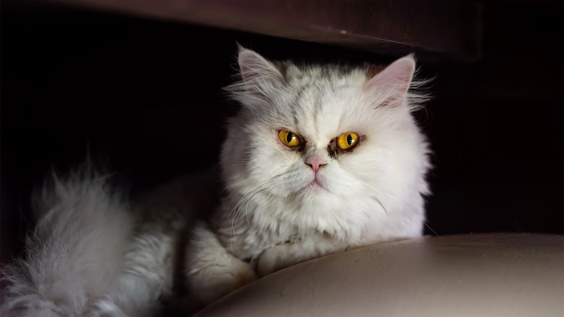 英超球队使用动态战术模拟提升防线横移速度的应用研究，英超vr新规则