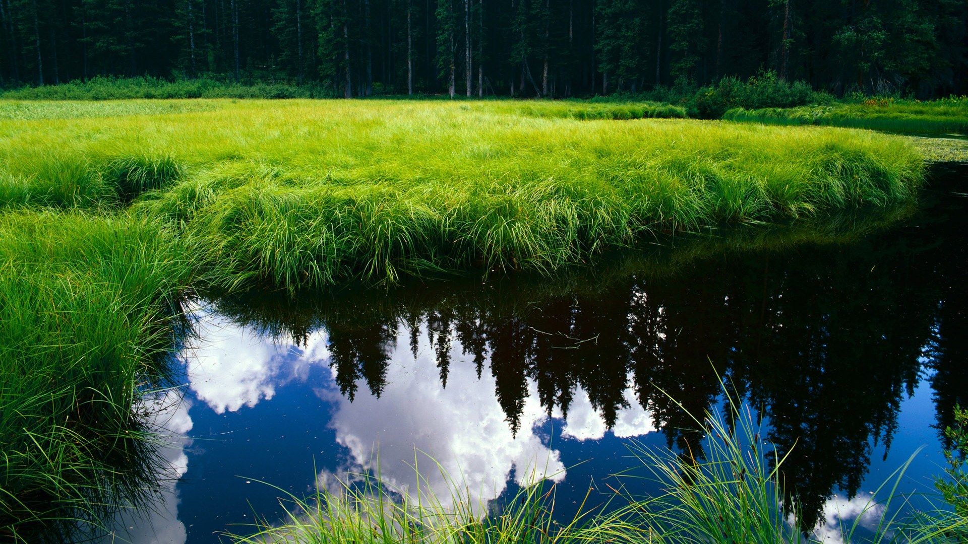 英超裁判基于语义分析技术提升比赛判罚一致性研究，英超裁判出牌统计