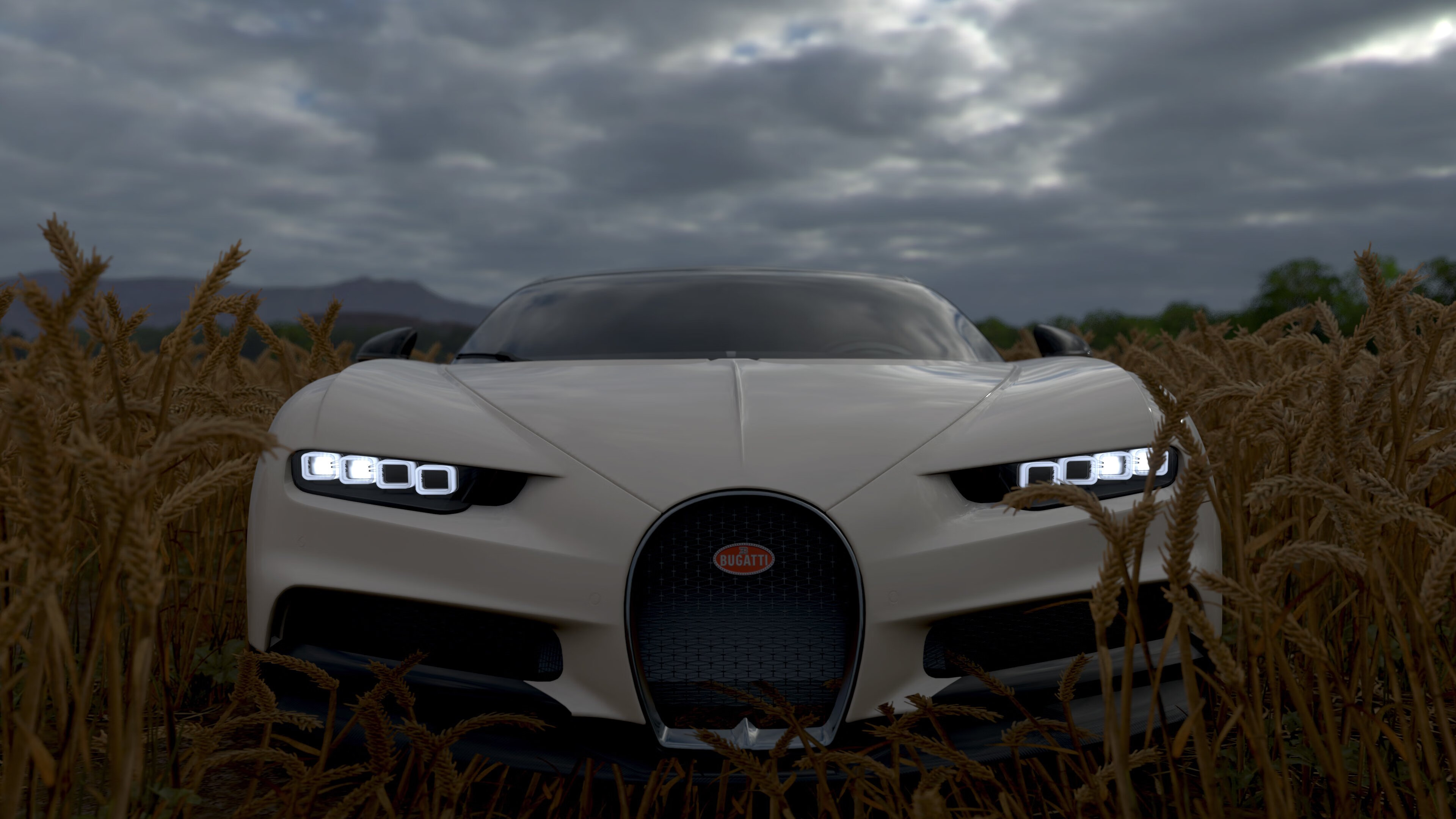 kaiyun.com-青少年体育培训标准制定，青少年体育技能培训