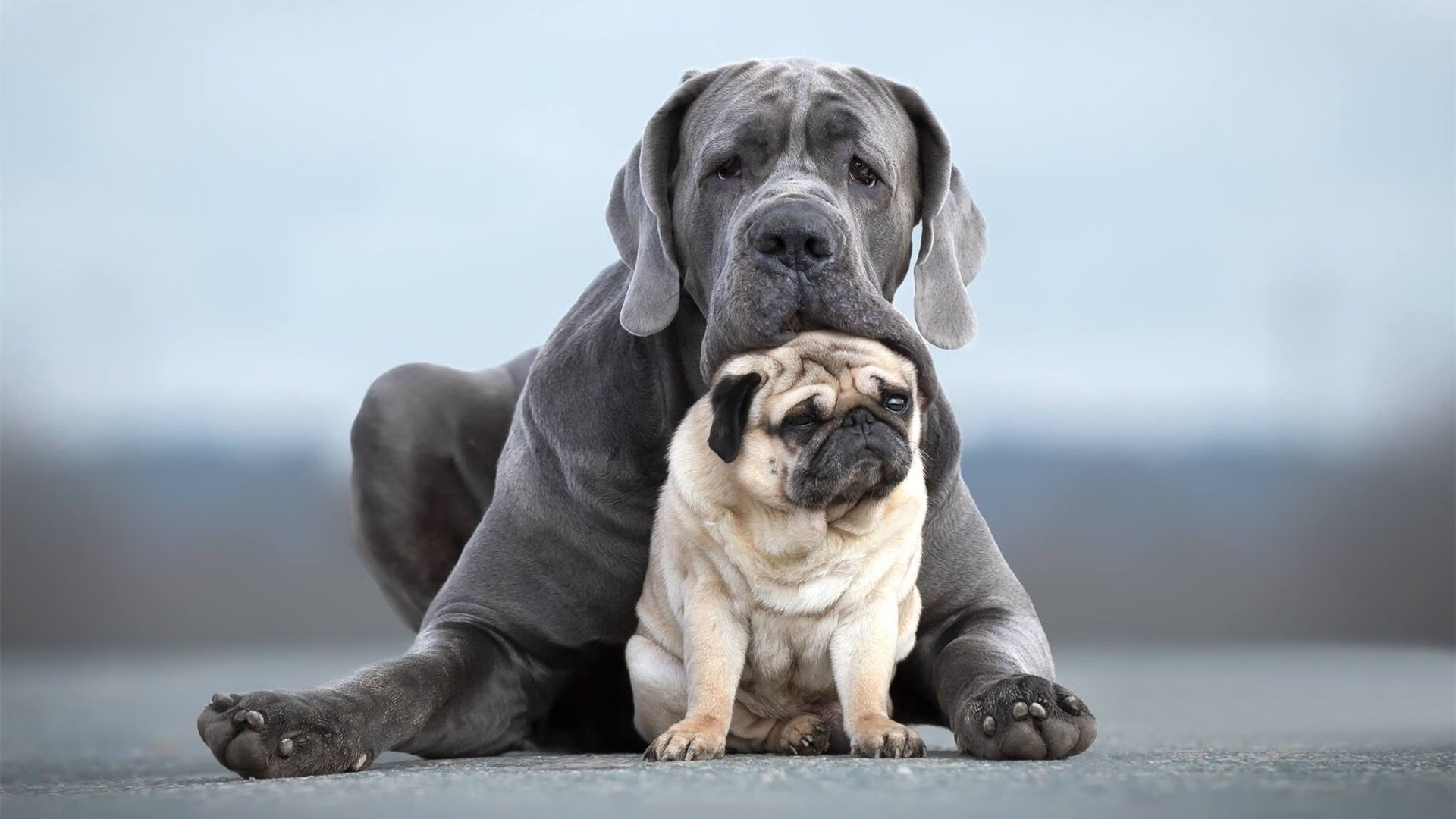 青少年体育培训标准制定，青少年体育技能培训