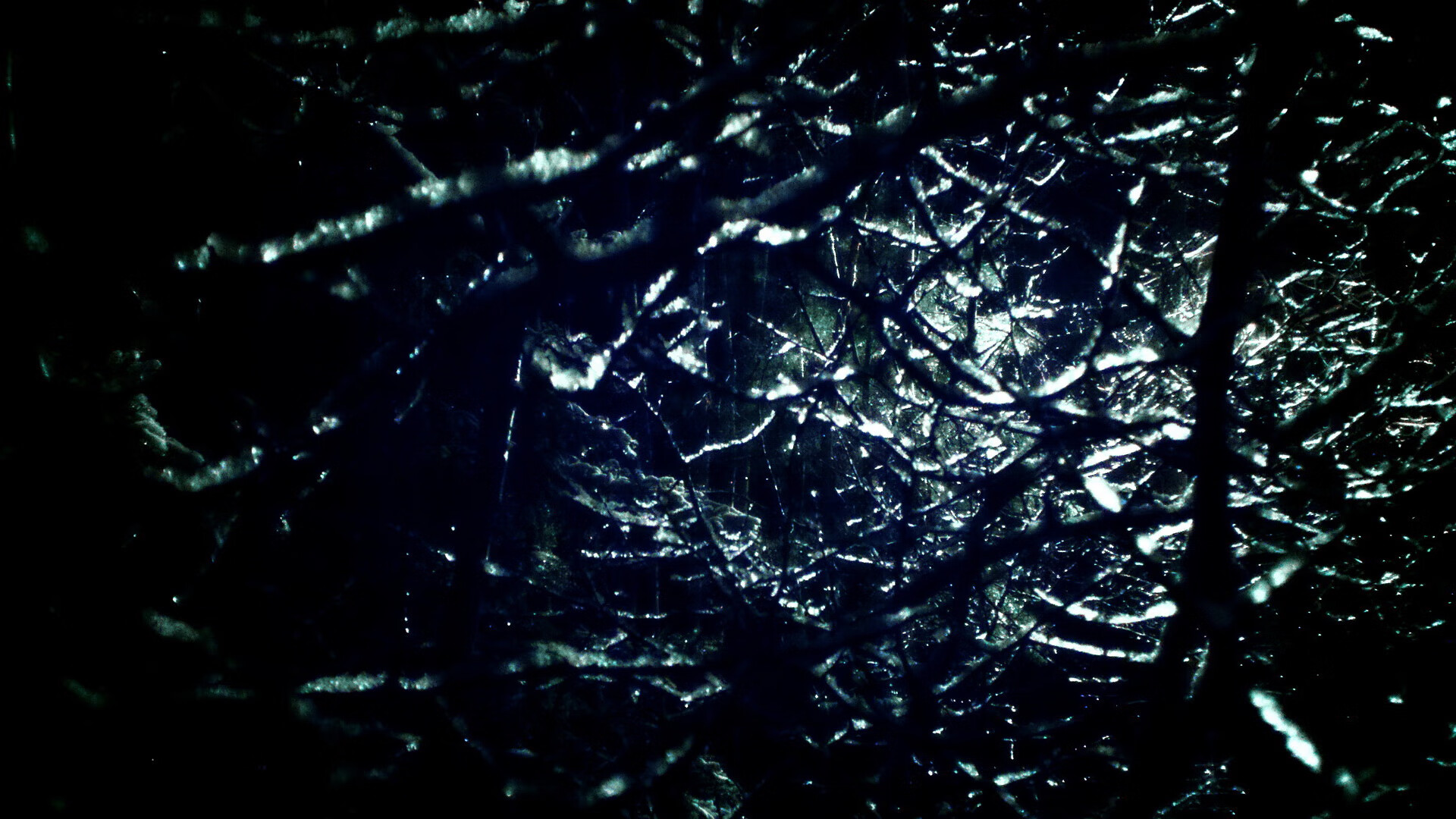 高校运动训练效果监控平台，高校运动项目的训练设置