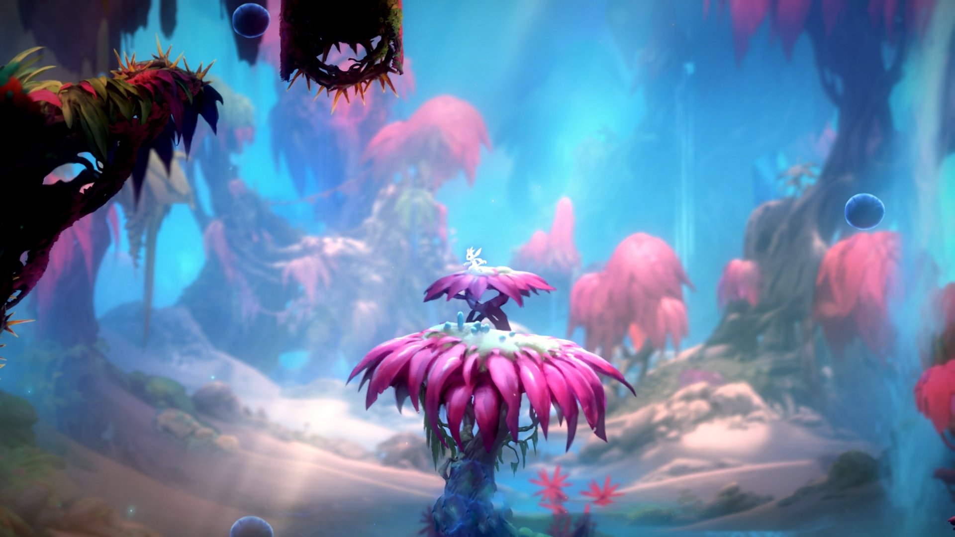 中超裁判员交流计划提升判罚稳定性，中超裁判员一场多少钱