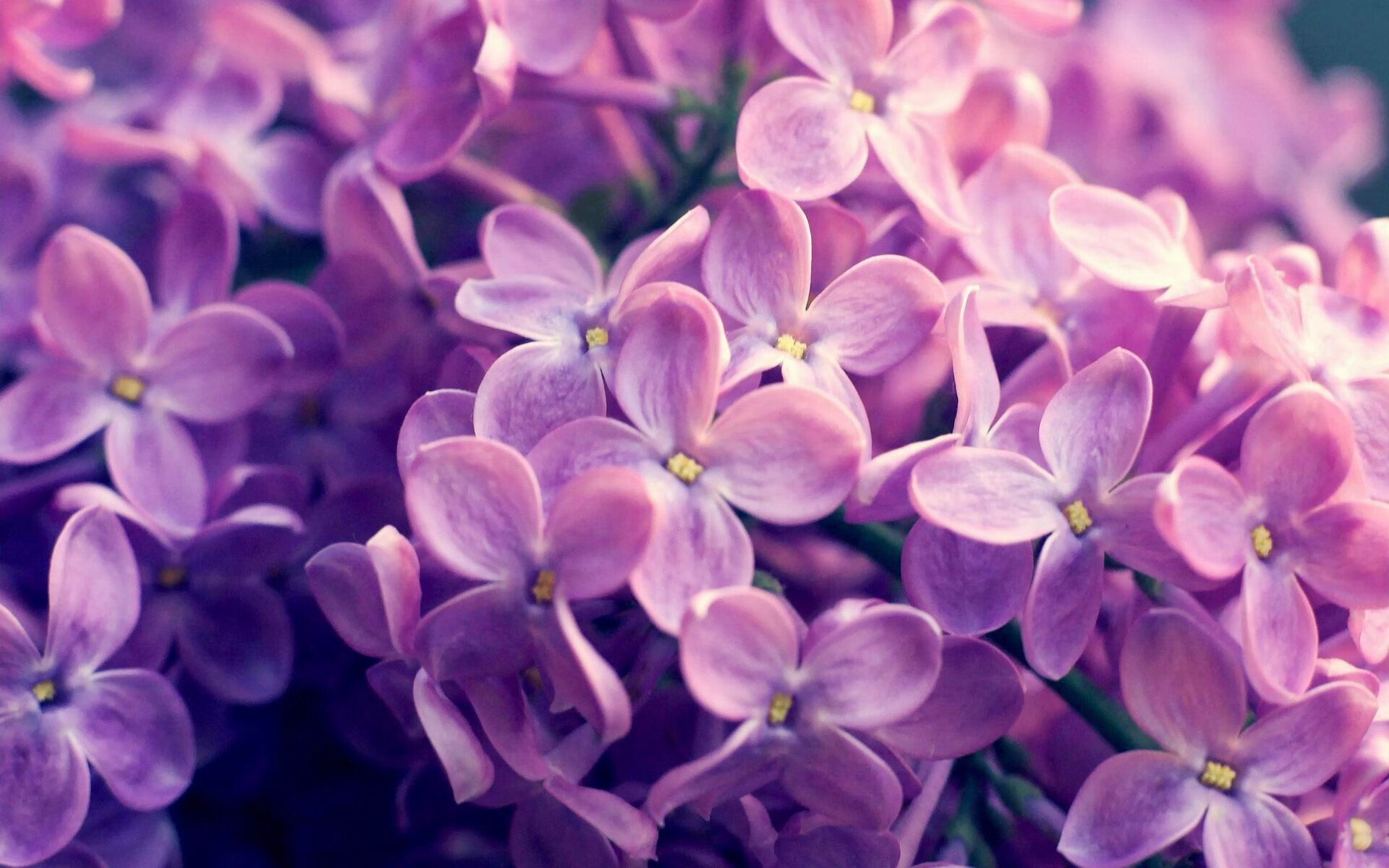 kaiyun体育app-体育新闻中心深化体育短视频内容智能推荐算法，体育短视频的传播特点