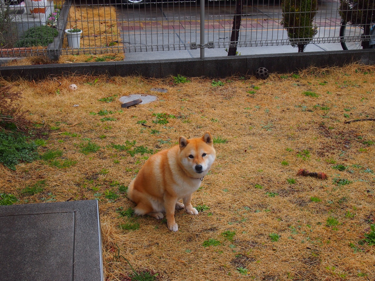 电竞主题馆在多地开放吸引年轻人打卡体验，电竞主题展馆