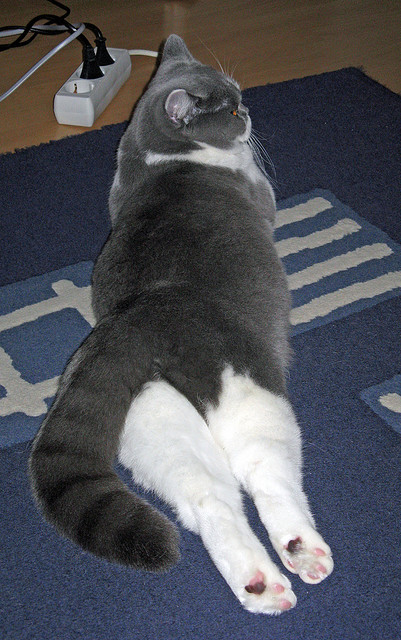 kaiyun中国官方网站-中国足球青少年足球俱乐部发展迅速，中国青少年足球俱乐部发展情况