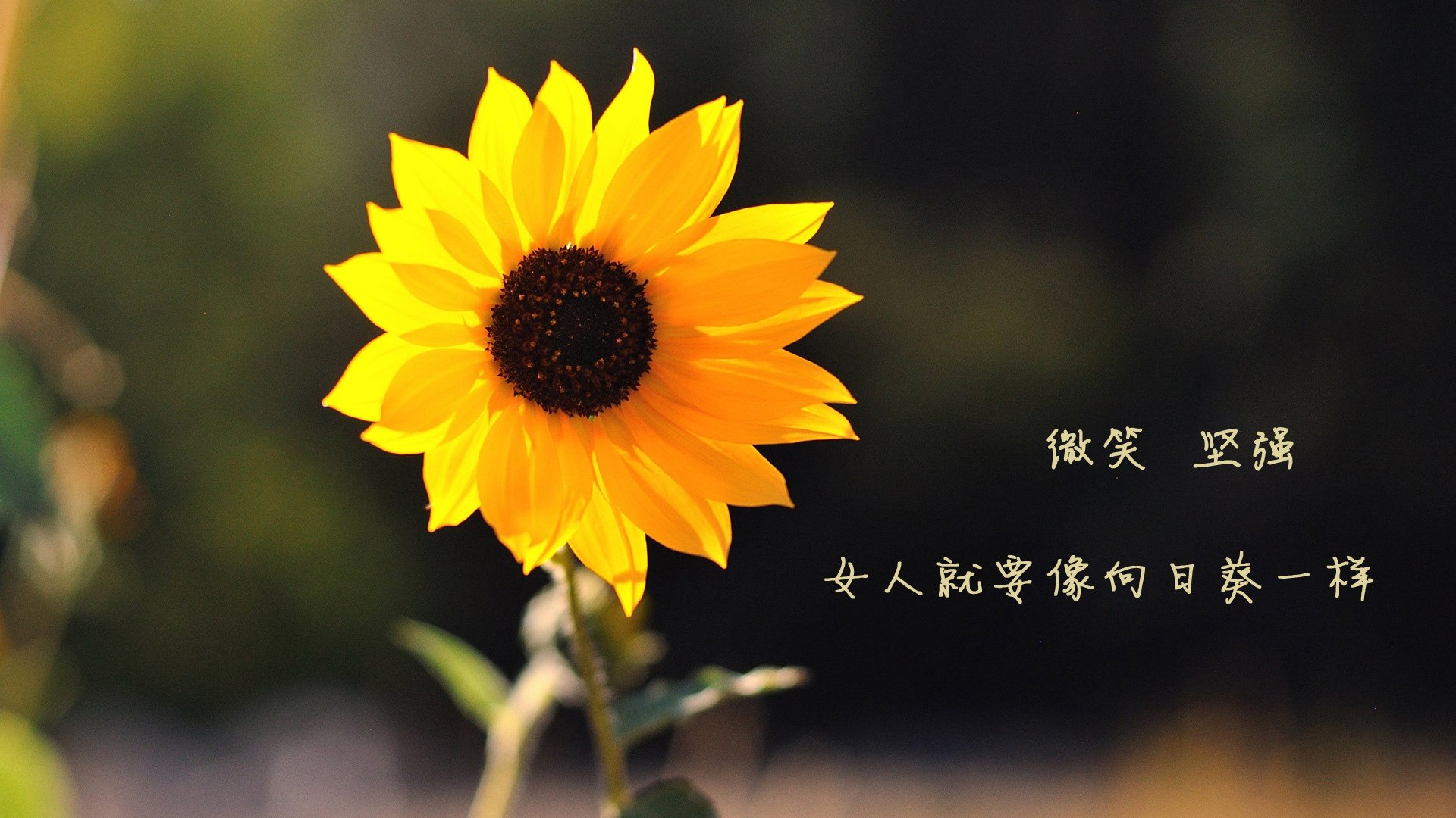 开云平台-出发反应速度快，转身动作紧凑，动作反应快的成语