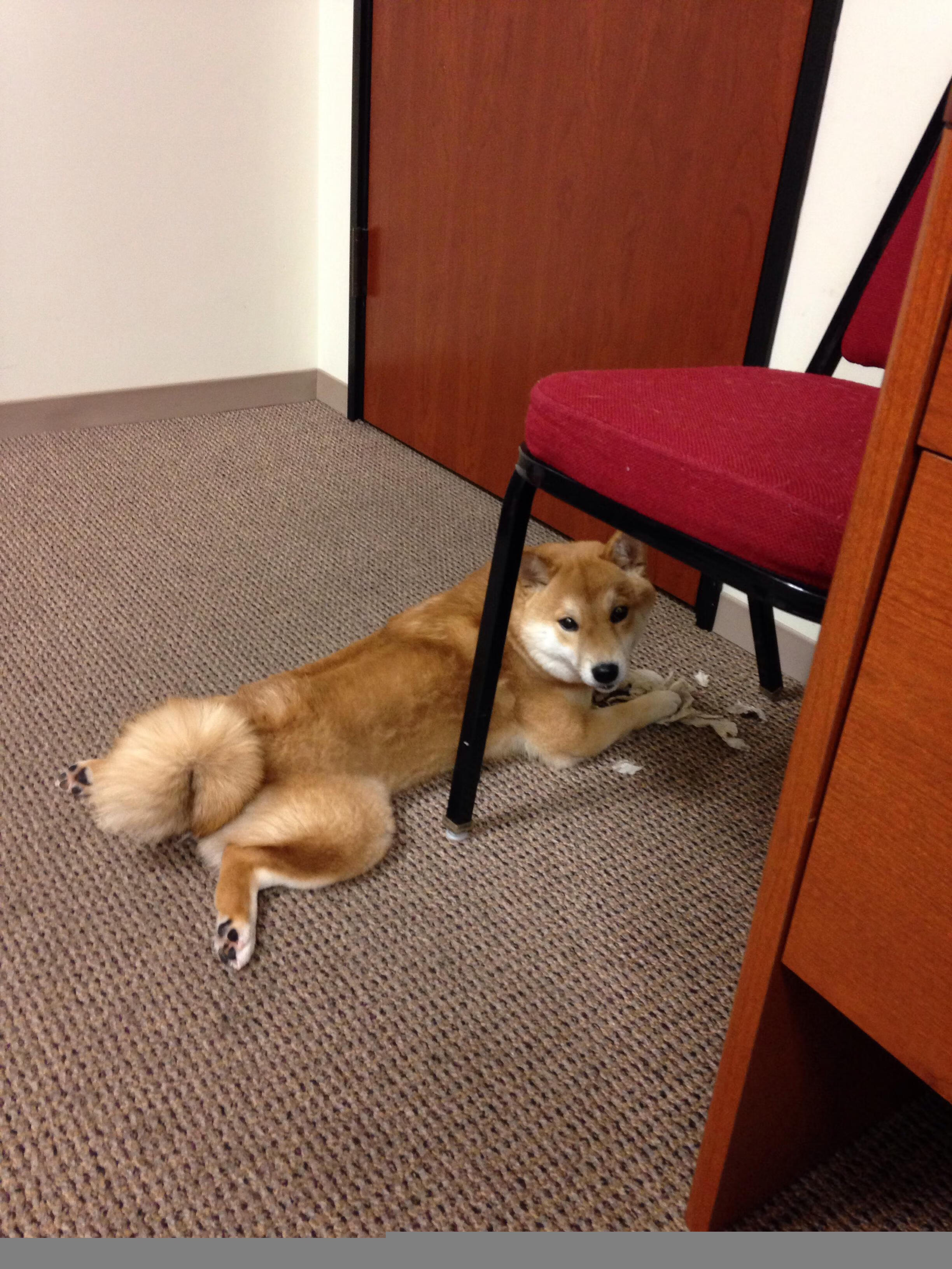 多特蒙德青年才俊崭露头角,助力未来