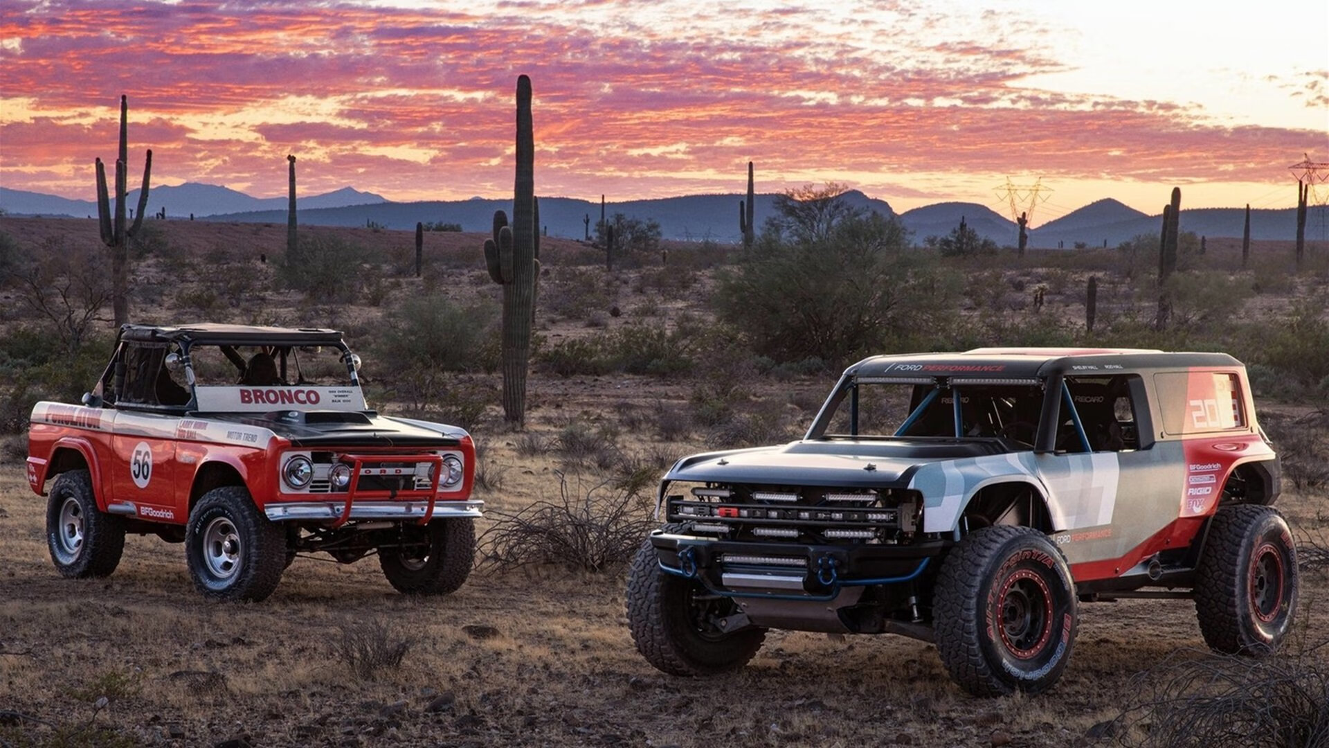 科特迪瓦男篮在非洲锦标赛中表现出色,期待奥运之旅,科特迪瓦举办非洲杯