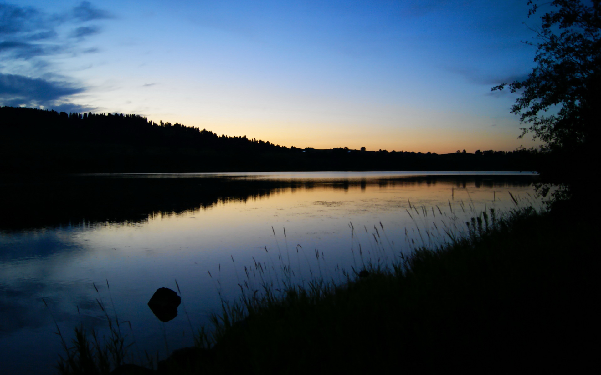 赛事平台启动球迷采访计划记录他们眼中的感动与热血瞬间，足球球迷采访