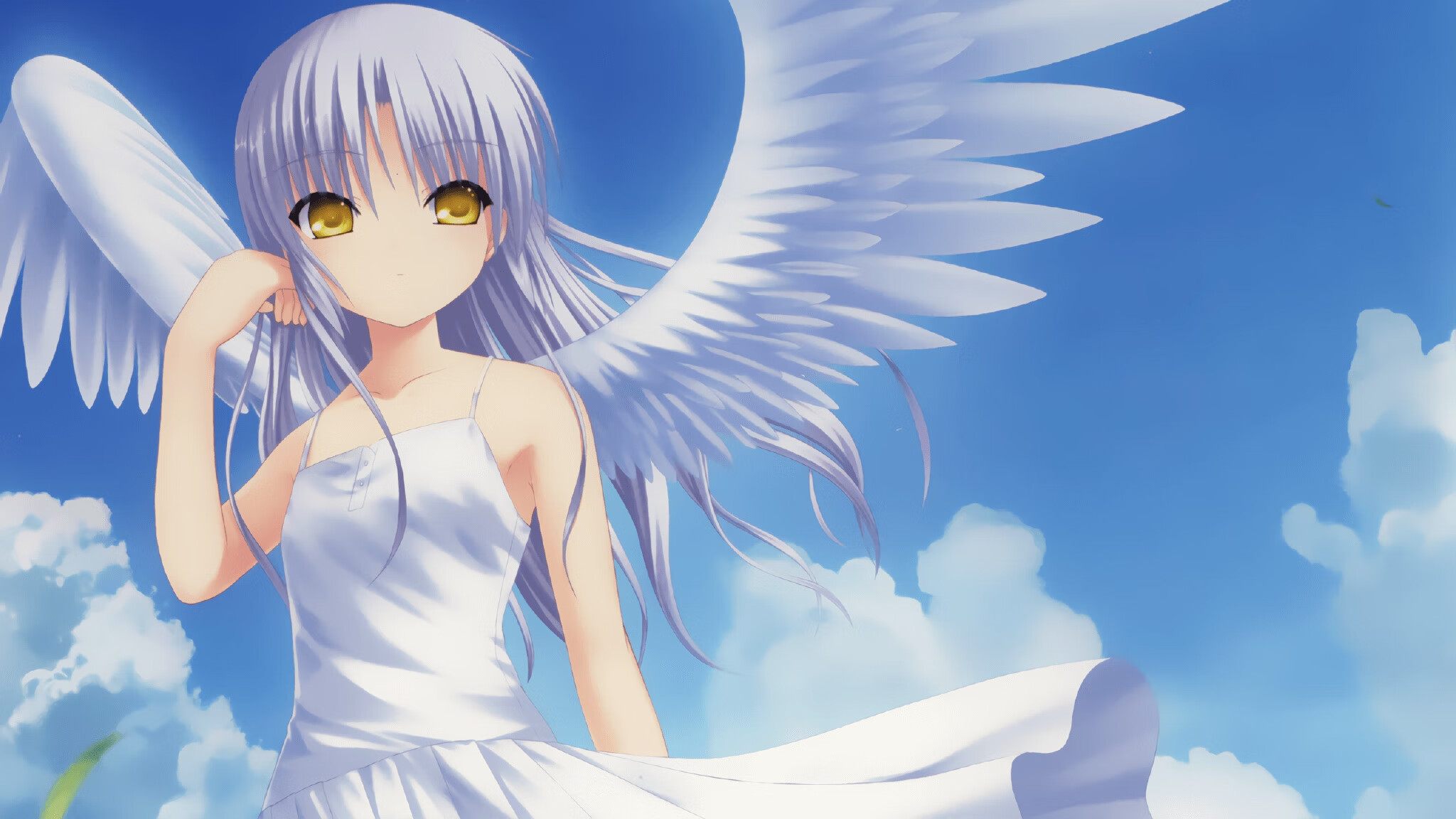 马尔尚完美入水引发媒体关注，马尔莫尔