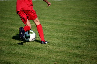 开云app下载-篮球运动员训练负荷智能监控系统研发及应用，基础阶段篮球训练负荷安排