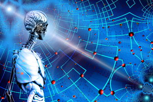 kaiyun sports-高校运动训练科学管理模式创新，科学的运动训练管理系统应包含哪些方面